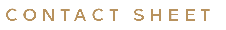CS Logo_Word Logo_Gold